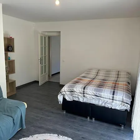 Maison Avec Jardin Centre Proche Eurexpo * Bron